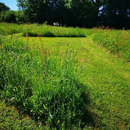 Fernfields
