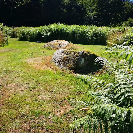 Fernfields * Saint-Michel-de-Montjoie