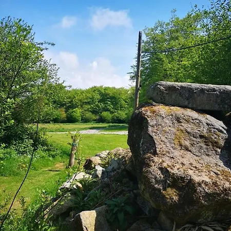 Fernfields *
